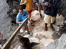 cotopaxi-region-7g241