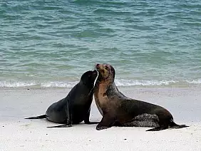 cotopaxi-region-fqetq