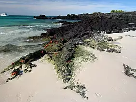 cotopaxi-region-sy1cw