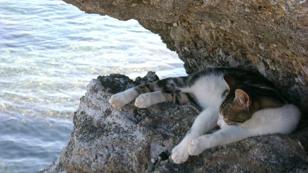 cefalonia, l'isola di pelagìa