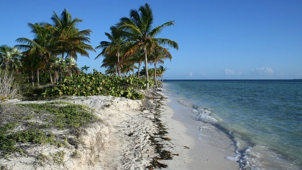 cuba expedition, tra amore ed odio