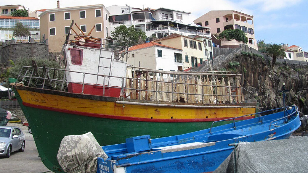 madeira di il giardino sull'oceano e lisbona