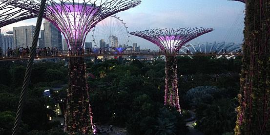 Garden by the Bay 3