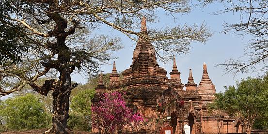 gruppo di templi a Bagan