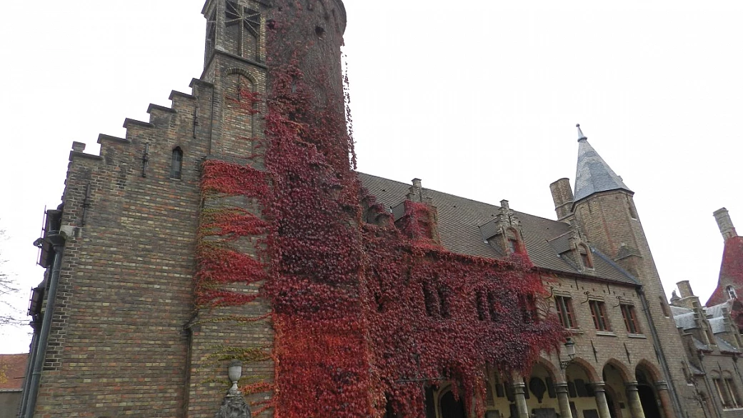 bruges di e bruxelles