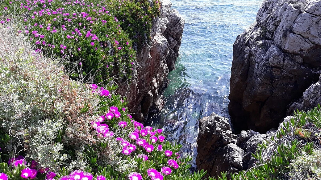 quattro giorni in costa azzurra