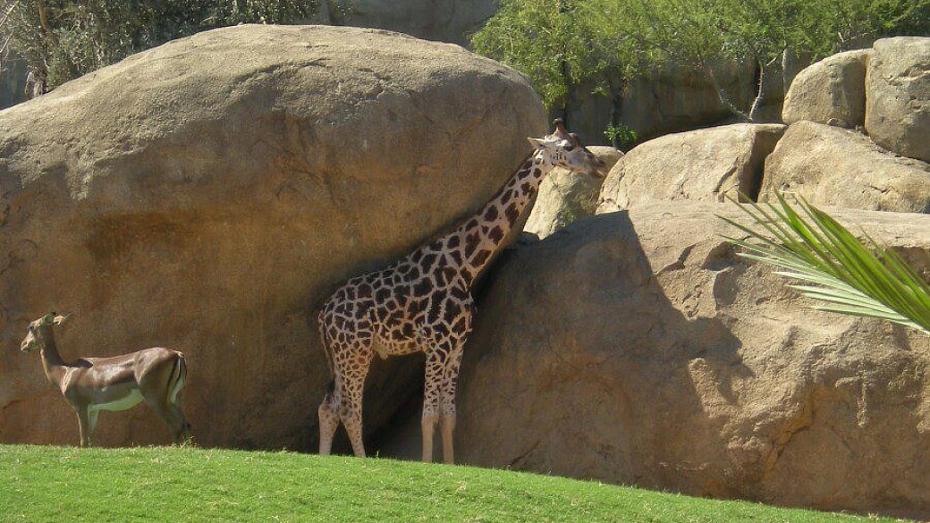 valencia, una piacevole scoperta