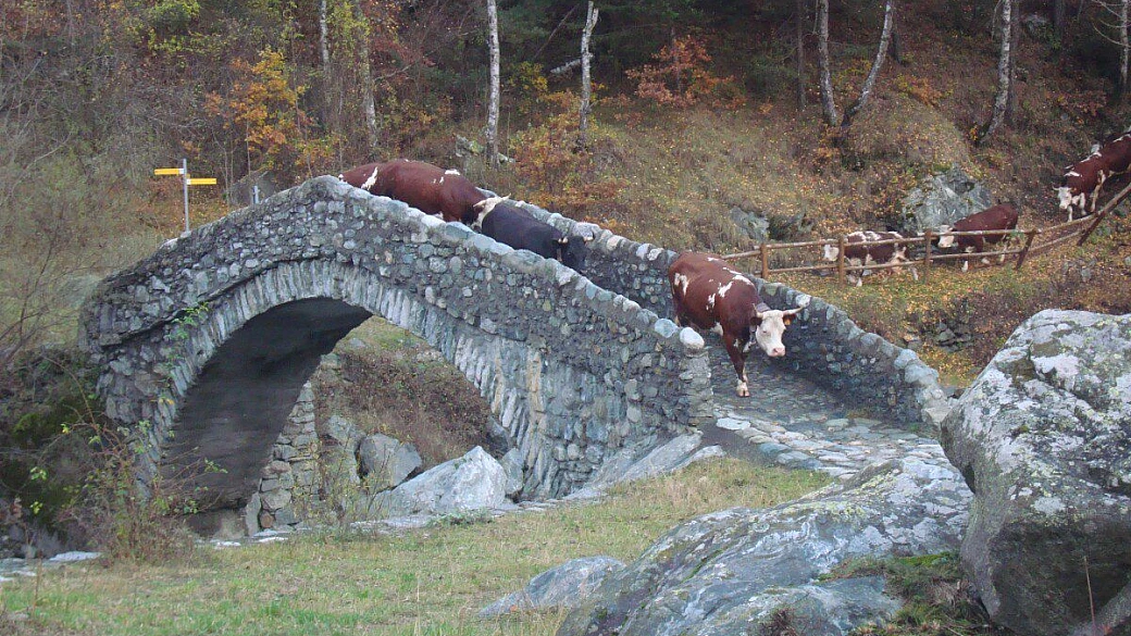 valle d'aosta e milano