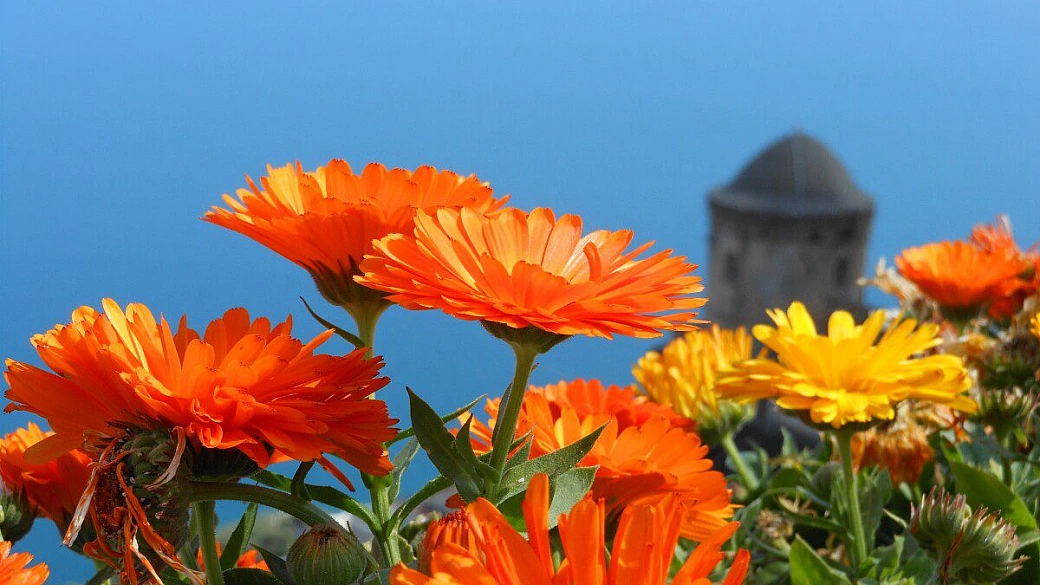 a zonzo per la campania