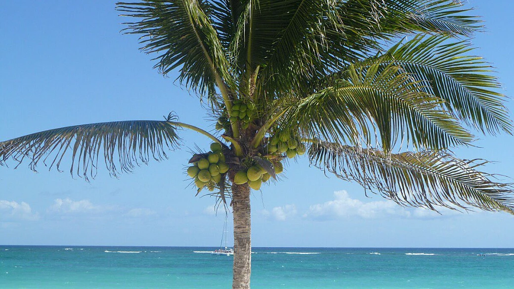 messico, un viaggio tra storia, movida e sano relax