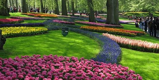 tour in olanda, fra i campi di tulipani, mulini a vento e dighe