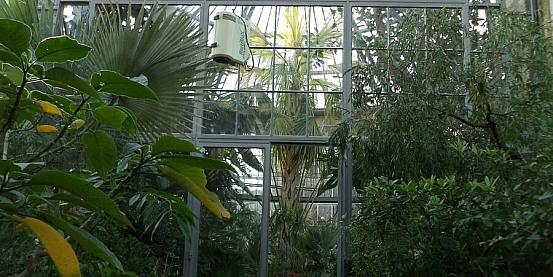 orto botanico - serra delle palme