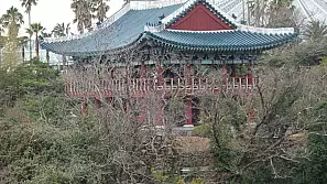 temple stay, l'esperienza più mistica da fare in corea del sud