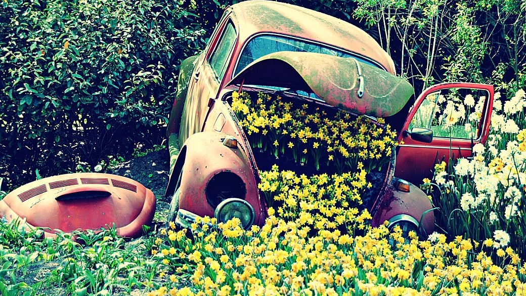 spring break olandese