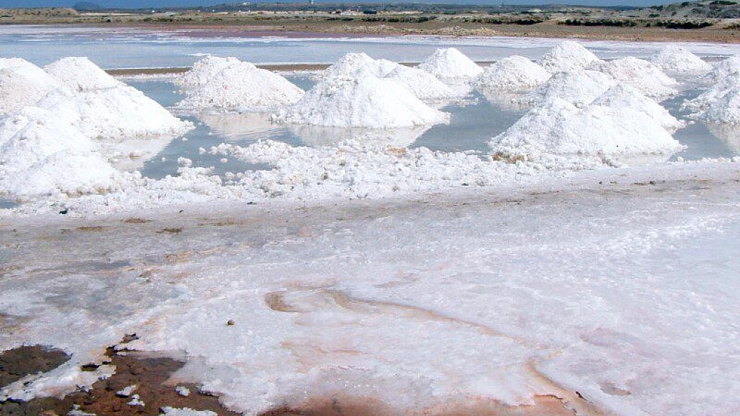 alla scoperta di sal e boavista
