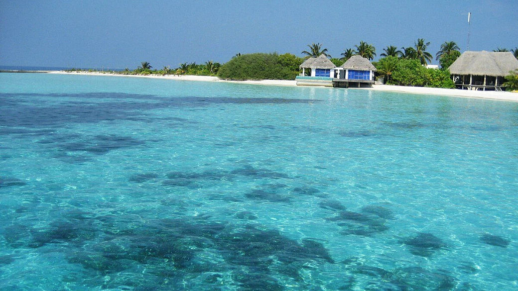 sri lanka, un ciuffo verde nell'oceano indiano