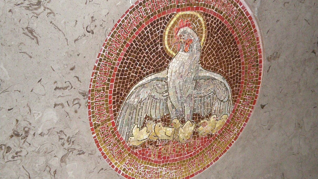 cinque giorni in terra santa