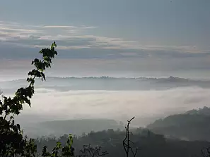 la nebbia di splendida sul monferrato