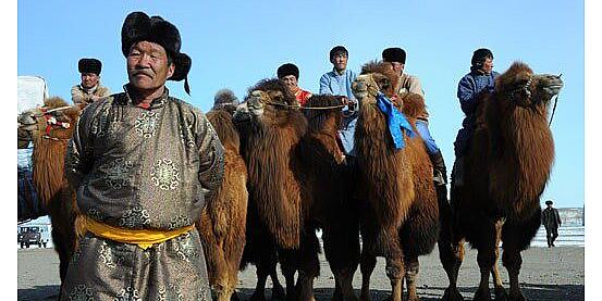 gianka felice nomade e allevatori di cammelli