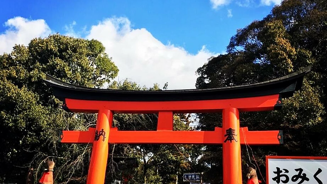 giappone: un amore nato sotto gli ultimi ciliegi in fiore