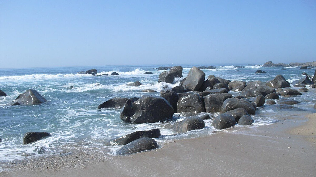 vi porto a... porto!