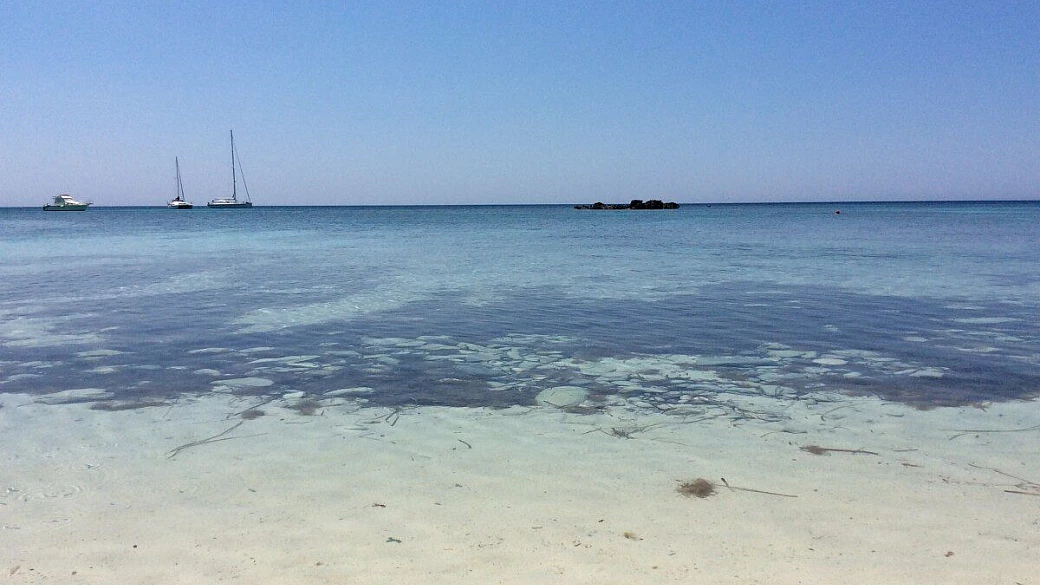 favignana e trapanese