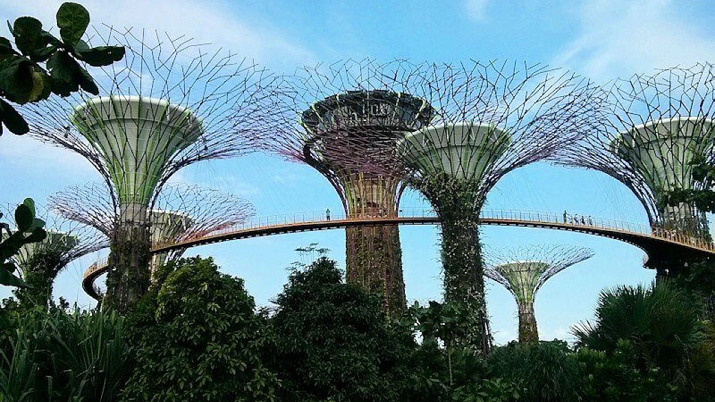 singapore di consigli veloci