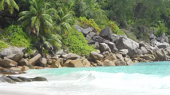 seychelles: luna di miele in paradiso