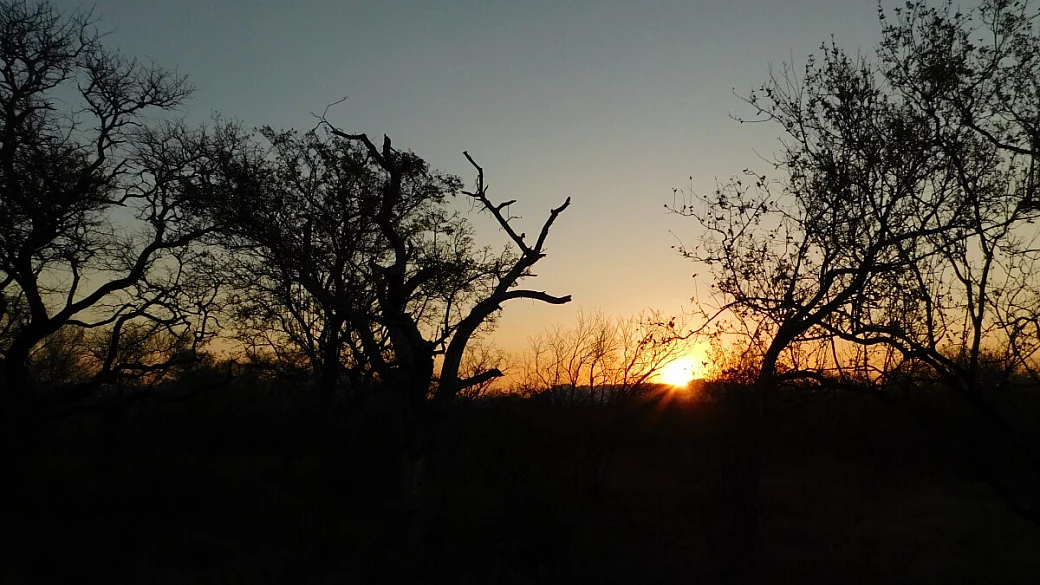 sudafrica, l’altra africa