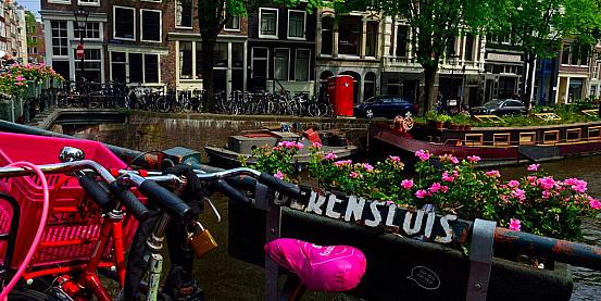 amsterdam di low cost tra fiori, canali e biciclette