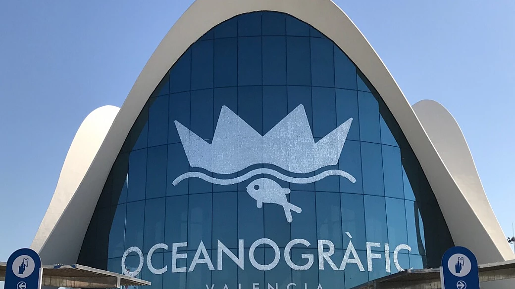 a zonzo per valencia