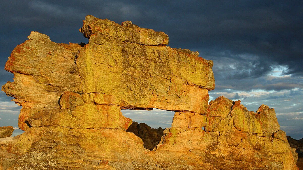 madagascar: au menu ou à la carte?