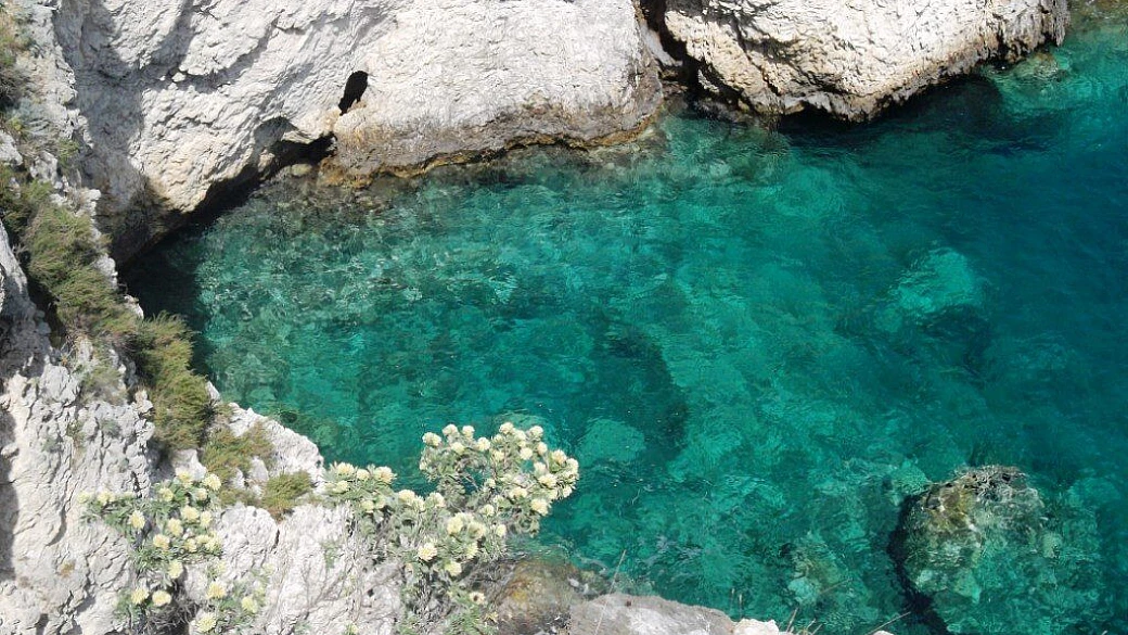 frequenze... pugliesi