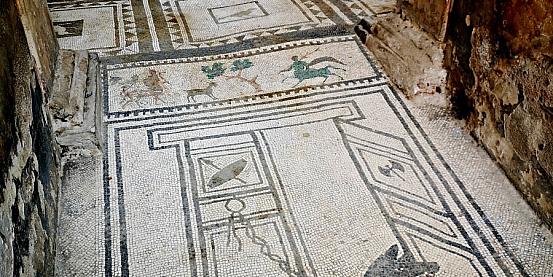 Pompei – Casa di Paquius Proculus: mosaico prodotto in un atelier di alessandrini