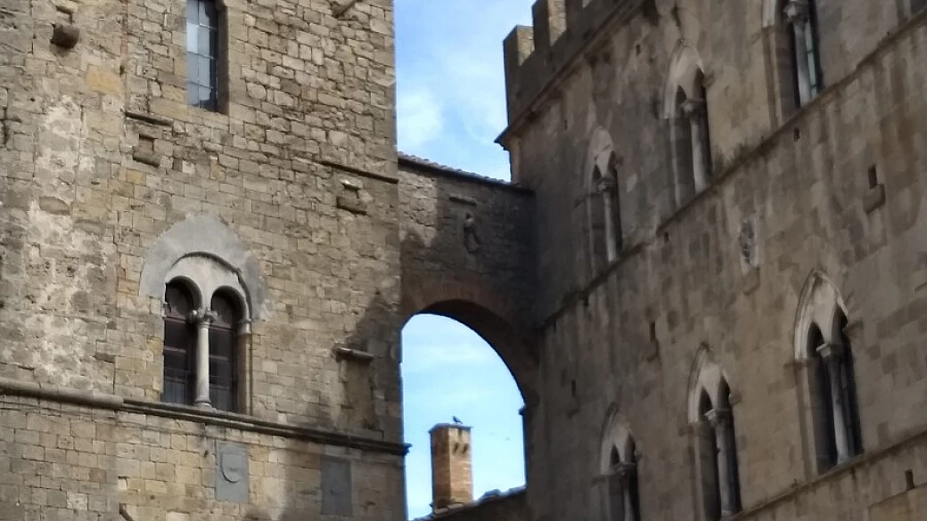 pisa, volterra, san gimignano e mare con il nostro cane