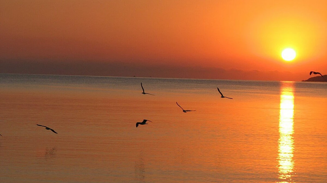 paesaggi dal giglio alla via francigena