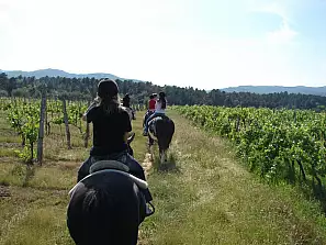 relax a cavallo