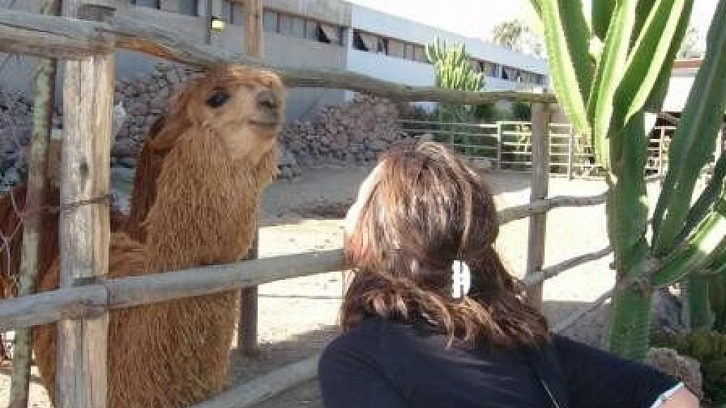 antigua:land of sea and sun