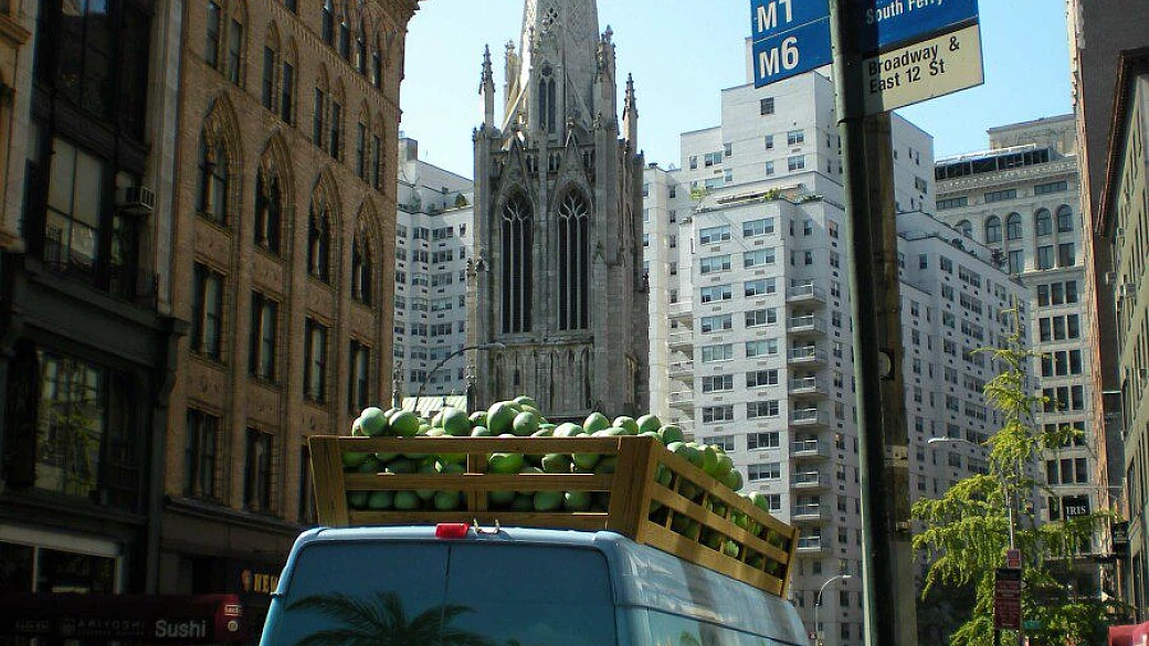 usa & canada: a tale of two countries