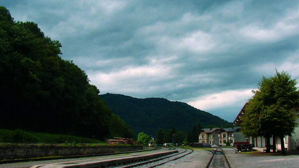 veloce assaggio di polonia