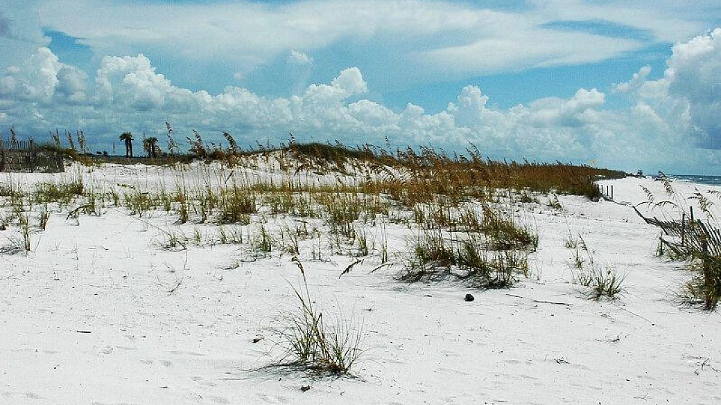 alla scoperta del profondo sud