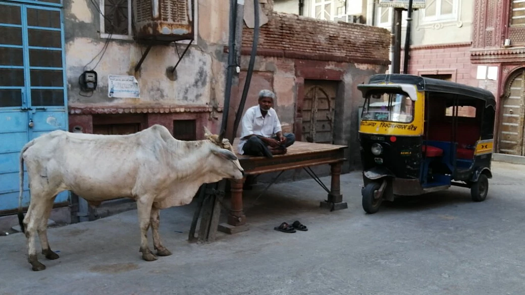 rajasthan e non solo