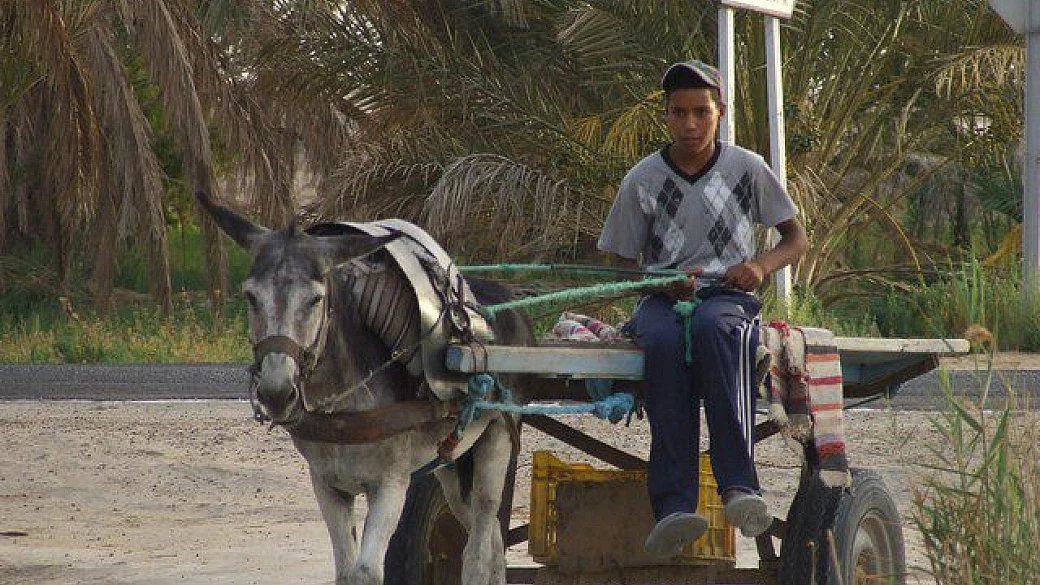 prima e ultima vacanza in tunisia