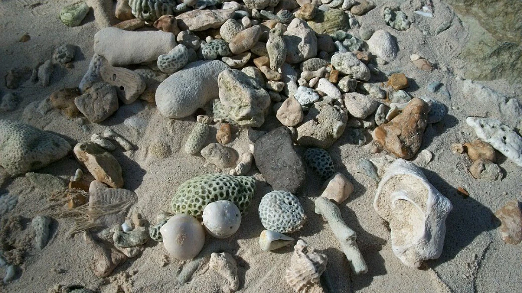 vacanze al viva dominicus beach