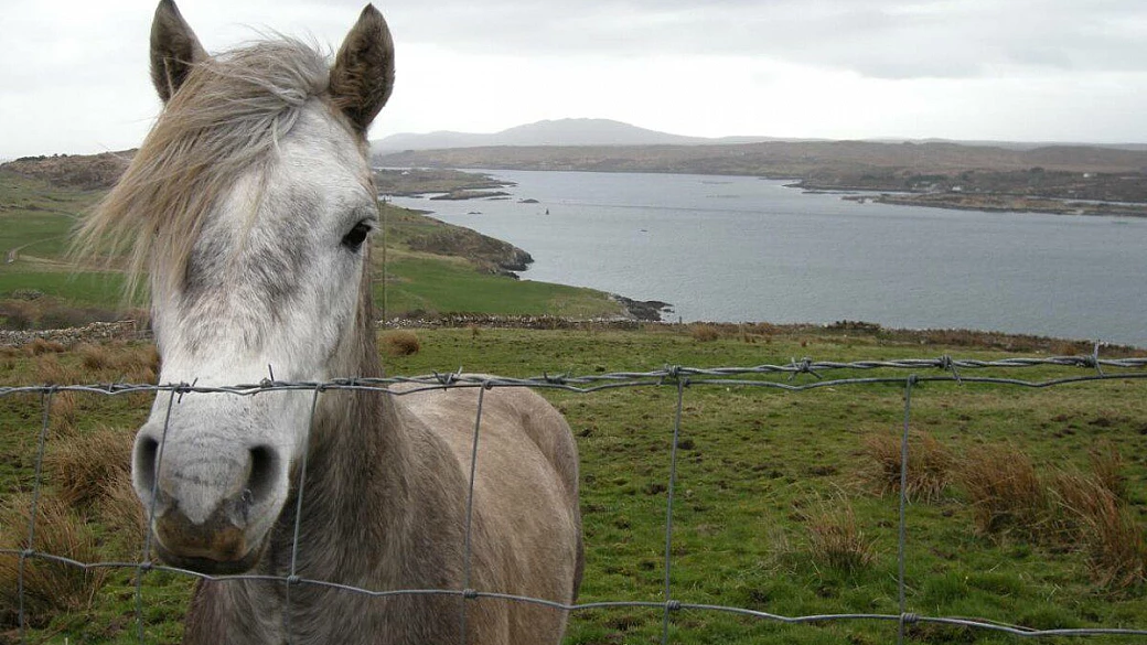 in giro per l'irlanda