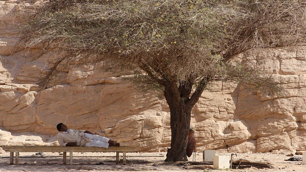sea club akassia marsa alam