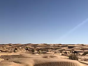 tunisia tra città storiche e deserti 6