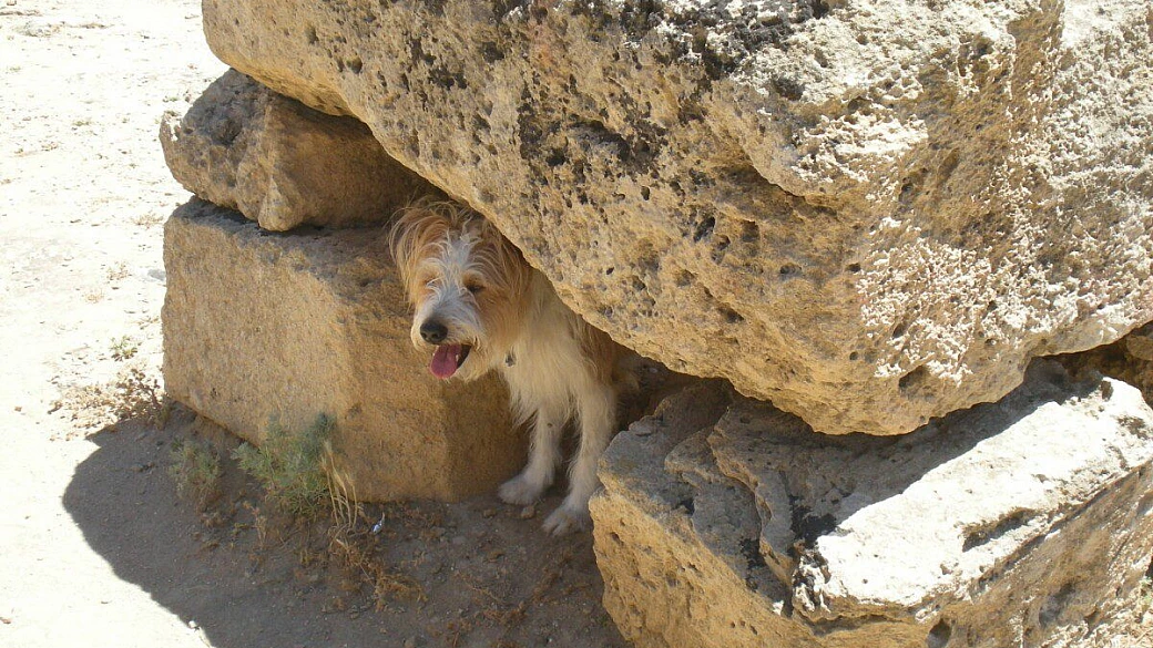 positano, ravello, amalfi