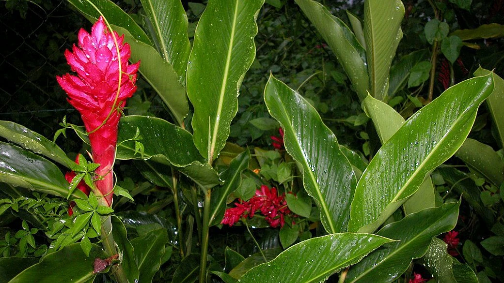 santa catarina il vero paradiso terrestre