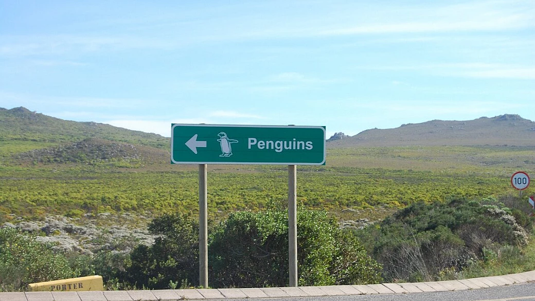 ho il mal d'africa...